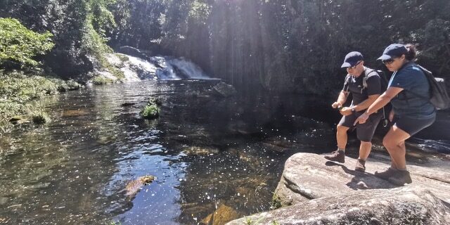 WhatsApp Image 2022-06-20 at 17.03.04